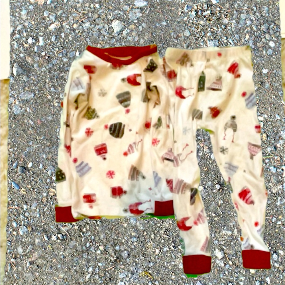 Burt’s Bees Kids 2 piece Pajamas 2T
